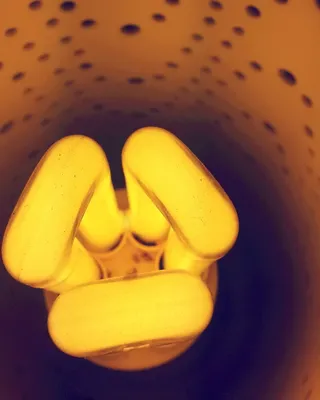 南非, 开普敦, 紧凑型荧光灯泡, 紧凑型荧光灯, 紧凑型荧光灯, cfl, cfl 灯泡, 尘土飞扬的灯泡