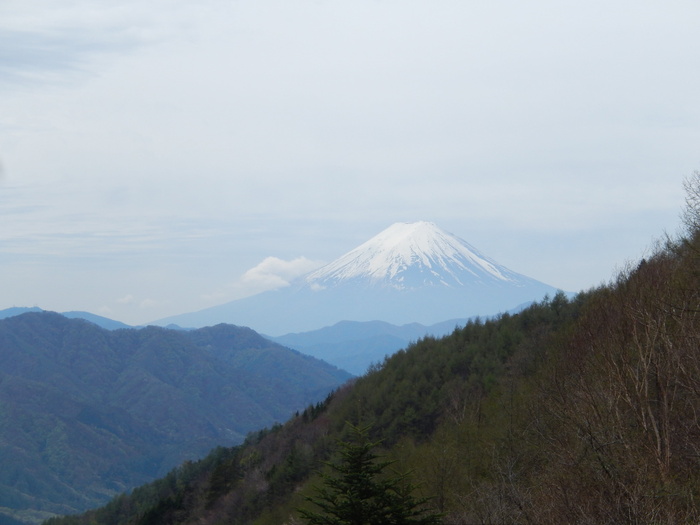 富士山，自然，山，自然之美，风景-自然，宁静的景色，宁静，天空