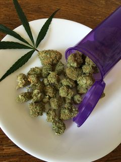 库什球, 返回页首, 碟, 大麻, 杂草, 药物, 大麻