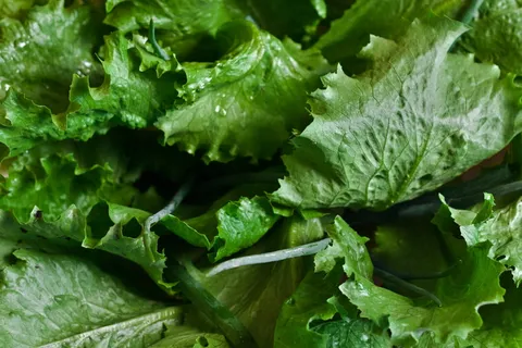健康、生菜、沙拉、蔬菜、叶子、食品、新鲜度、有机 健康、生菜、沙拉、蔬菜、叶子、食品、新鲜度、有机