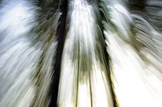 芬兰，科尔波，雨，森林，蓝色，黄色，运动，运动