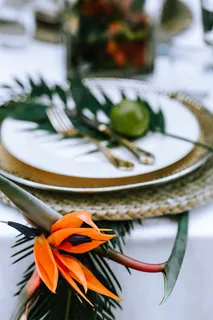 五彩缤纷的奇花异草