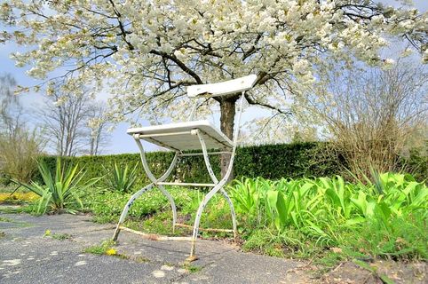 椅子，白色，休息，等待，开花，春天，开花，种植