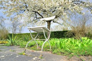 椅子，白色，休息，等待，开花，春天，开花，种植