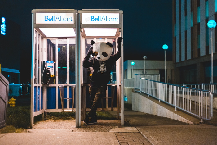 person wearing bear costume