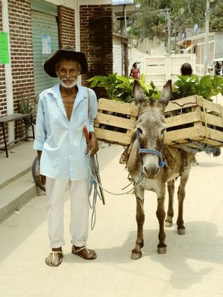 mr、印第安人、查蒂诺、瓦哈卡、贫困、墨西哥、手工艺品、典型