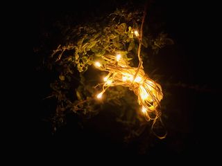 排灯节，夜晚，灯光，夜晚，树木，自然，绿色，街道