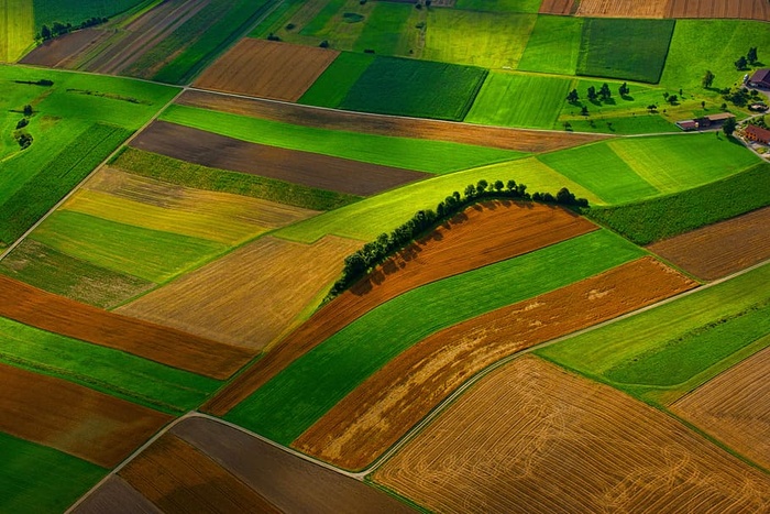 无标题，田野，农场，绿地，草地，农业，树木，植物