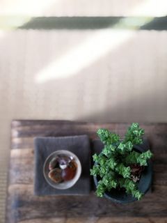 餐桌中心，花瓶制作，如何在家制作花瓶，餐巾花，用羊毛花制作餐桌伴侣，餐桌中心，花，家居装饰