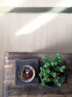 餐桌中心，花瓶制作，如何在家制作花瓶，餐巾花，用羊毛花制作餐桌伴侣，餐桌中心，花，家居装饰