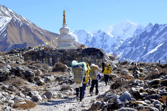 尼泊尔，长途跋涉，朗当，徒步旅行，喜马拉雅山，景观，自然，山脉