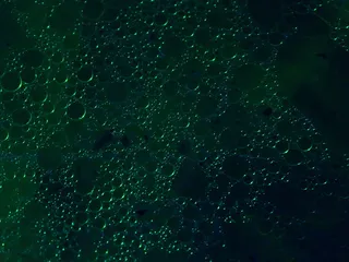 模式, 结构, 纹理, 油眼, 胖眼睛, 深绿色, 全画幅, 特写