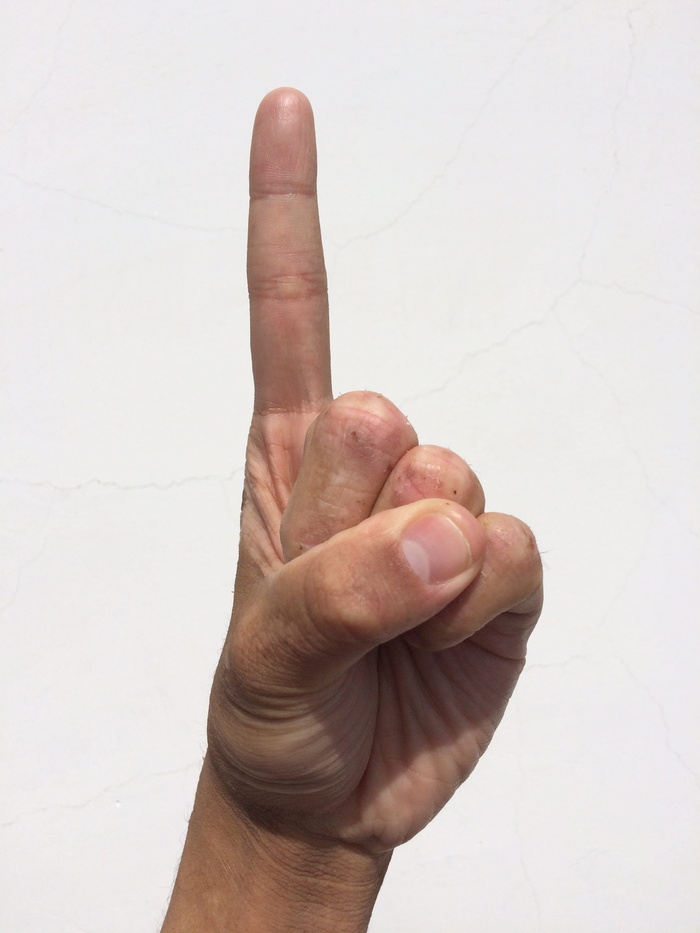 左手，手，显示，扇子手标志，左手，扇子，手标志，手掌