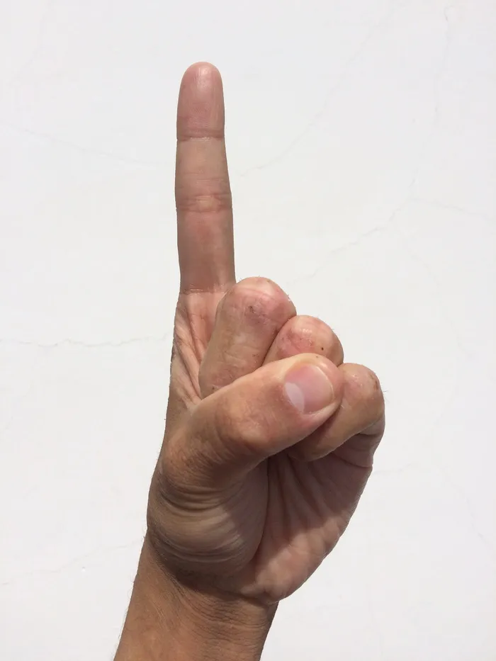 左手，手，显示，扇子手标志，左手，扇子，手标志，手掌