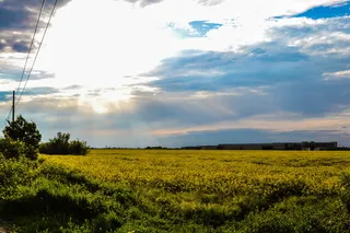 农业、云、农村、农田、农作物、环境、农场、农田