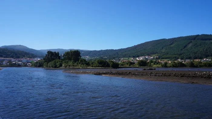 里亚斯，加利西亚，海洋，水，山脉，绿色，岛屿，山脉