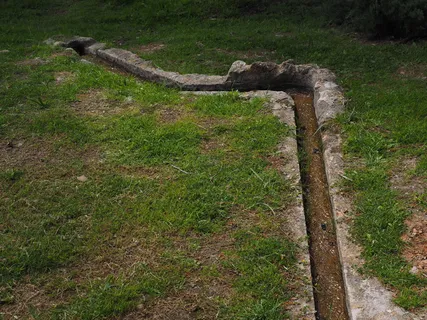 水，渠道，水管，水，渠道，水道，引水，配水，一只动物