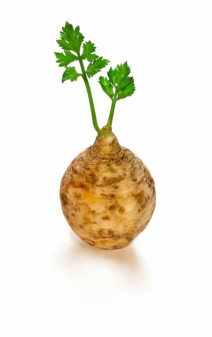 单纯性芹菜