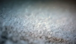模糊，特写，寒冷，聚焦，霜冻，冰冻，闪耀