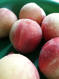 食物,无人,自然,凉爽,营养,夏天,桃子,桃树 食物,无人,自然,凉爽,营养,夏天,桃子,桃树