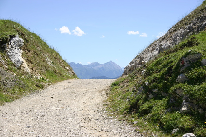 Tyrol，Gräner，Have，Alpe，Meadow，Away，Gräner Have Alpe，panorama