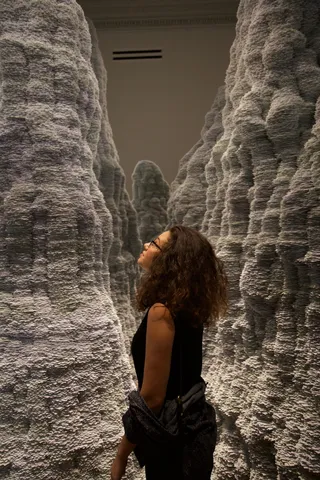 华盛顿，美国，史密森尼美国艺术博物馆伦威克画廊，加莱里，博物馆，宾夕法尼亚大道，哥伦比亚特区，伦威克加莱里