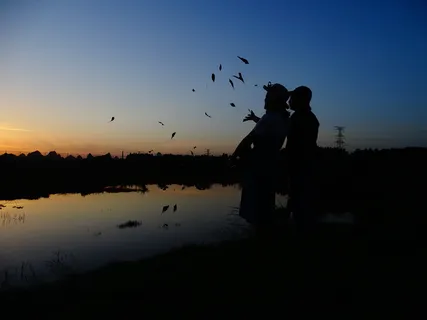 剪影,黄昏,倒影,美丽,天空,日落,自然,脊椎动物 剪影,黄昏,倒影,美丽,天空,日落,自然,脊椎动物