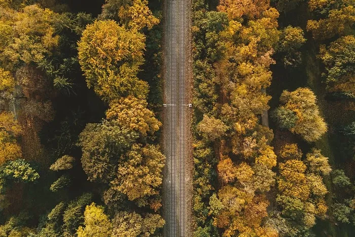 秋林中的铁路鸟瞰图
