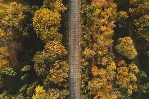 秋林中的铁路鸟瞰图 秋林中的铁路鸟瞰图