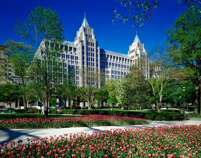 富兰克林公园，华盛顿特区，城市，城市，花卉，植物，郁金香