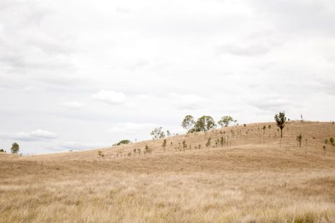 澳大利亚、昆士兰、内陆、干旱、棕色、自然、干旱、夏季