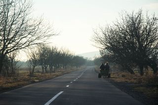 特兰西瓦尼亚，罗马尼亚，景观，道路，战车，马，自然，农民