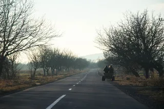 特兰西瓦尼亚，罗马尼亚，景观，道路，战车，马，自然，农民