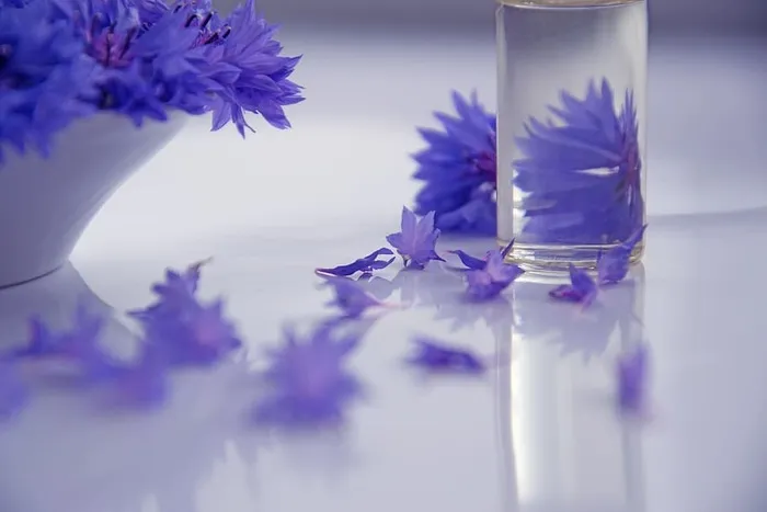 薰衣草，花，白，碗，美容，油化妆品，化妆品，矢车菊