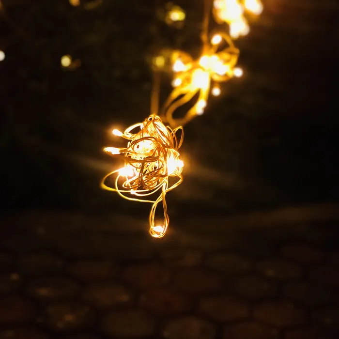 印度、瞬间、圣诞节、光明、日落、树木、自然、旅行