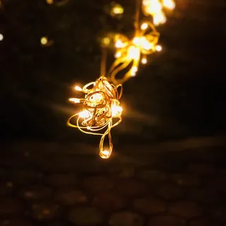 印度、瞬间、圣诞节、光明、日落、树木、自然、旅行