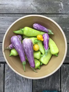 蔬菜、碗、茄子、辣椒、木材、花园、夏天、紫色 蔬菜、碗、茄子、辣椒、木材、花园、夏天、紫色