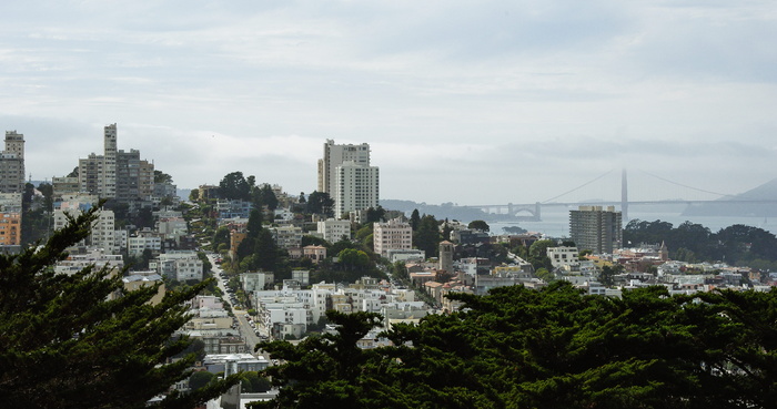 美国, 旧金山, Coit 塔, 街, 城市, 天际线, 金, 门