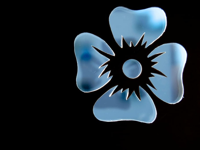 花朵、轮廓、灰蓝色、轮廓、轮廓、黑色背景、自然、复制空间