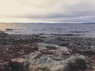 海岸上的灰色岩石