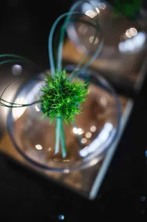 玻璃瓶里有一束带的小草