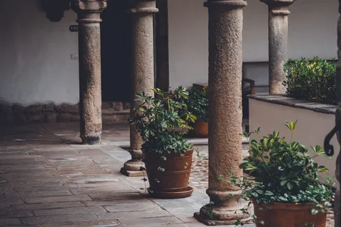 四根混凝土柱，绿色，叶状，植物，棕色，陶瓷，花盆，中间