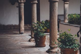 四根混凝土柱，绿色，叶状，植物，棕色，陶瓷，花盆，中间