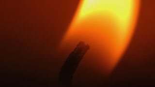 火焰, 火, 蜡烛, 灯芯, 光, 阴影, 没有人, 热-温度