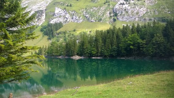bergsee，seealpsse，wasserauen，植物，树木，水，自然之美，绿色