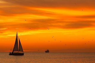 白色，帆船，日落，帆船，船，身体，水，金色