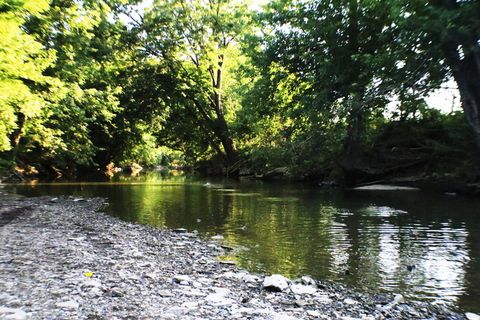 美国，肯塔基州，岩石，跳过岩石，水，树，鱼，钓鱼