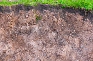 角度、背景、特写、特写、背景、切割、土壤、草