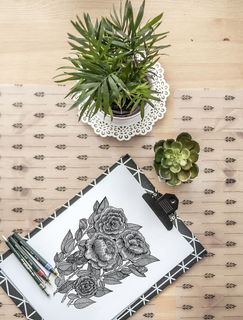 多汁植物附近的花