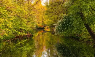 柏林、公园、桥梁、自然、德国、旅游、树木、植物